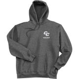 Curry College Super Heavyweight Fleece Hoodie